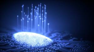 Qué es la huella digital en internet y cómo te están rastreando? | WIRED